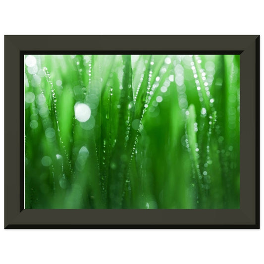 Premium Matte Paper Metal Framed Poster,living room wall art, kitchen art, bedroom art