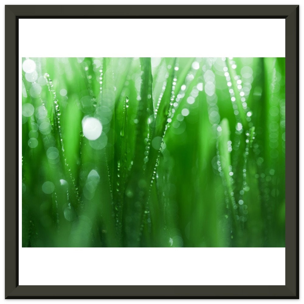 Premium Matte Paper Metal Framed Poster,living room wall art, kitchen art, bedroom art