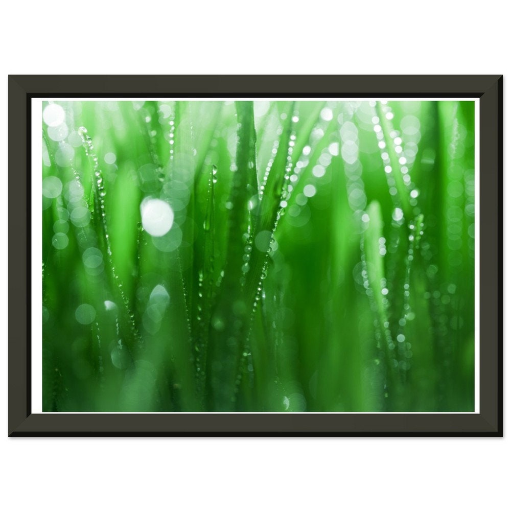 Premium Matte Paper Metal Framed Poster,living room wall art, kitchen art, bedroom art