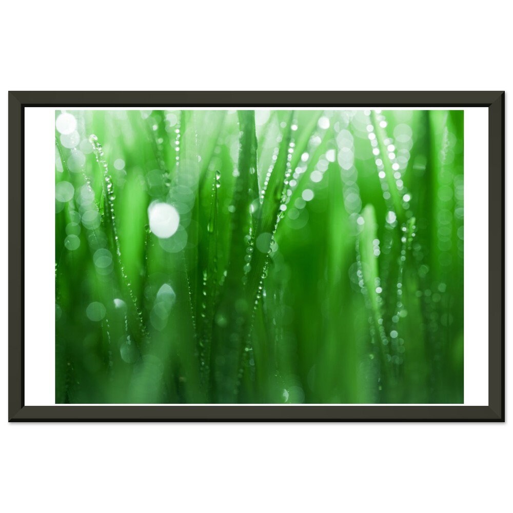 Premium Matte Paper Metal Framed Poster,living room wall art, kitchen art, bedroom art
